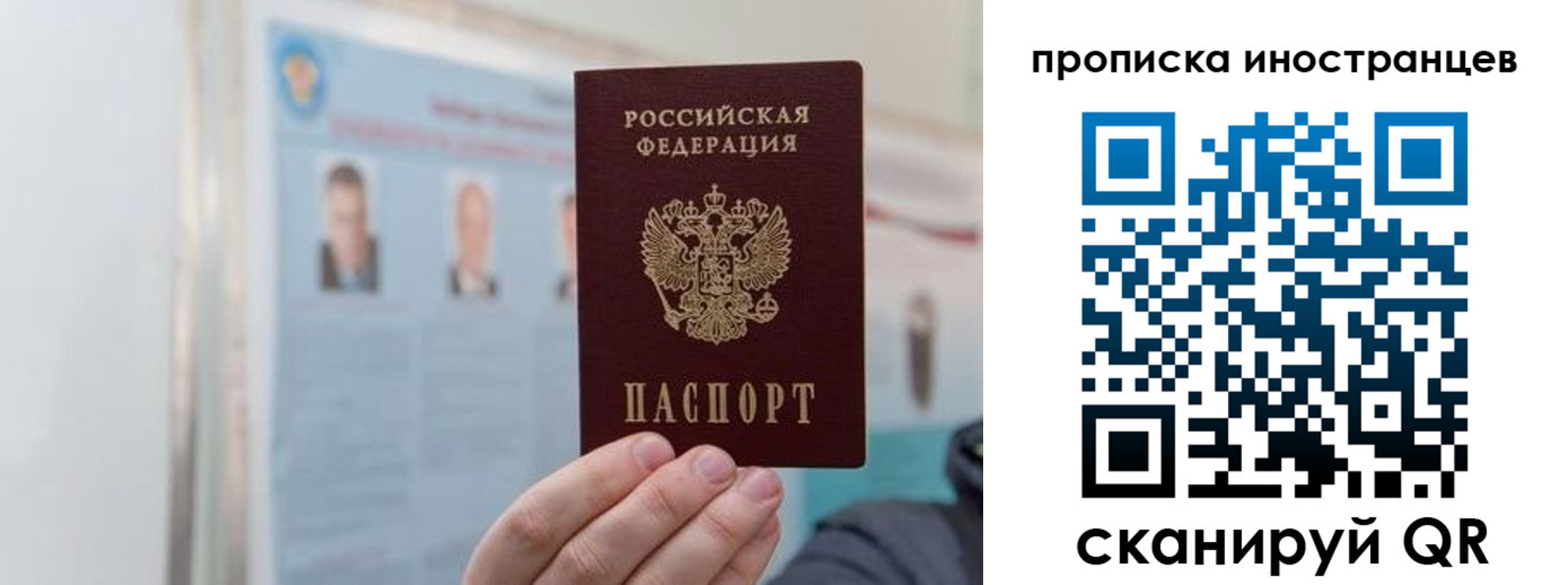 прописка паспорт в Светлогорске