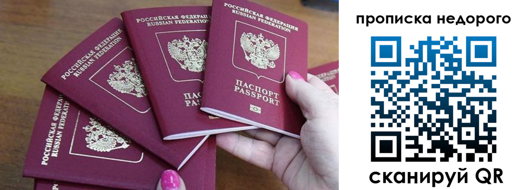 прописка для работы в Светлогорске