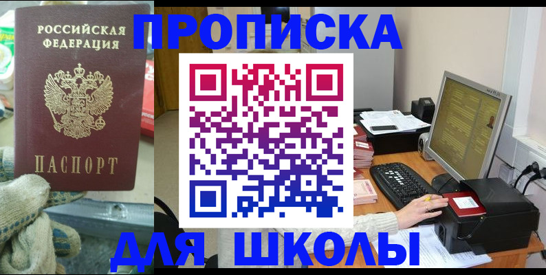 временная регистрация надежно в Светлогорске